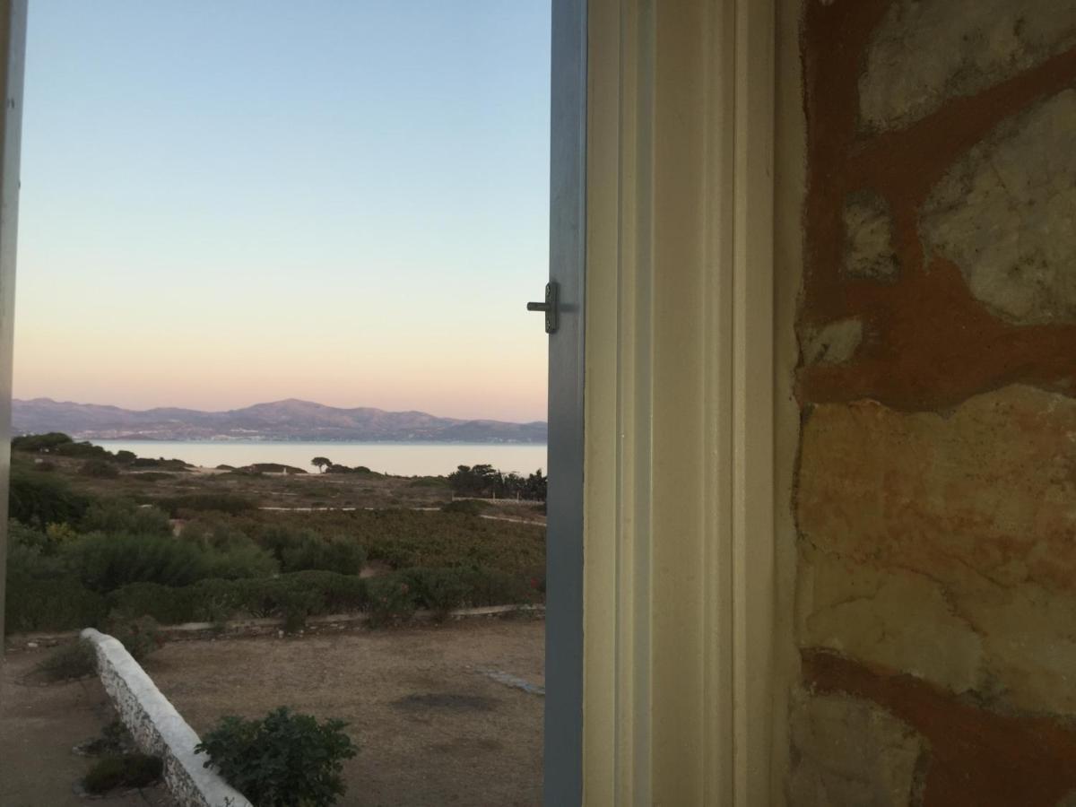 Villa Petradi Ambelas Dış mekan fotoğraf