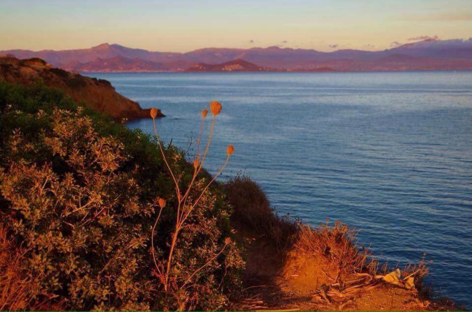 Villa Petradi Ambelas Dış mekan fotoğraf