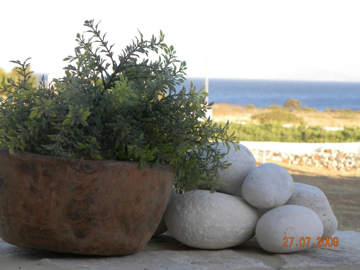 Villa Petradi Ambelas Dış mekan fotoğraf