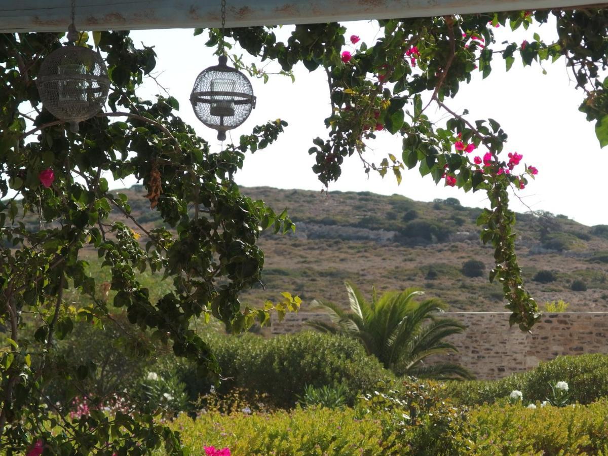 Villa Petradi Ambelas Dış mekan fotoğraf
