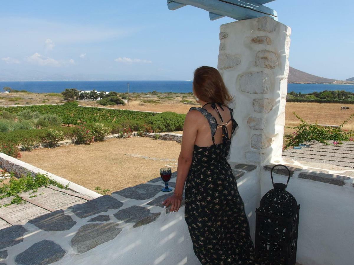 Villa Petradi Ambelas Dış mekan fotoğraf